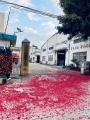2022年开工大吉